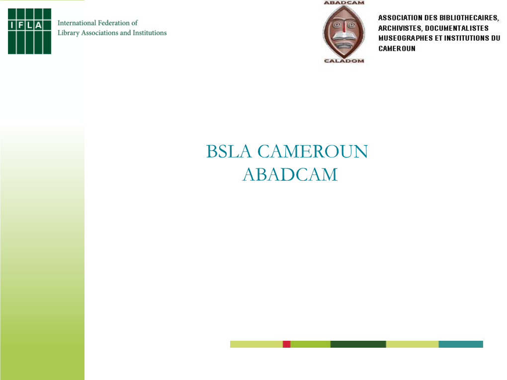 BSLA CAMEROUN ABADCAM COUNTRY PRESENTATION • Cameroon Is Situated in Central Africa, at Juncture of the Gulf of Guinea