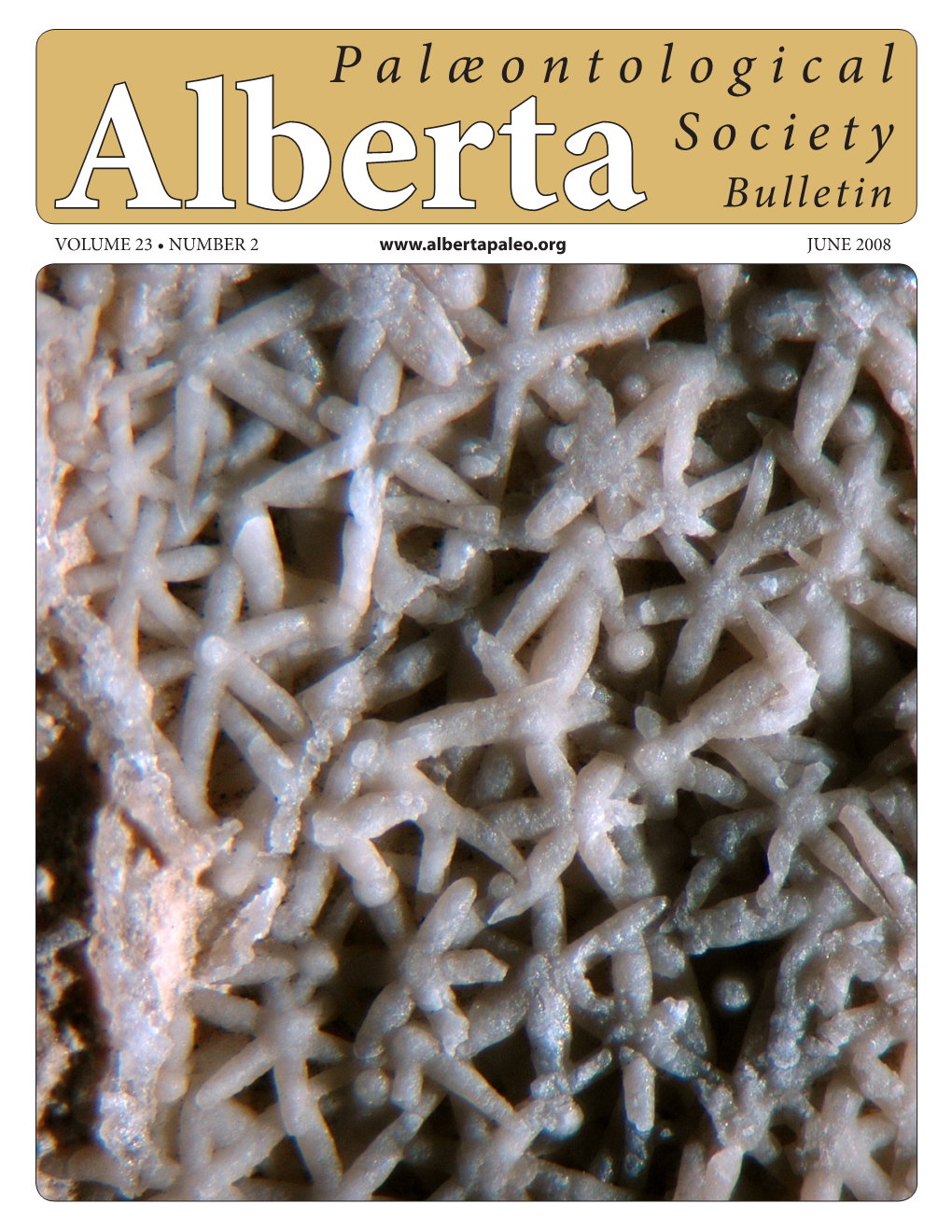 Palæontological Society Bulletin Albertavolume 23 • NUMBER 2 JUNE 2008 ALBERTA PALÆONTOLOGICAL SOCIETY