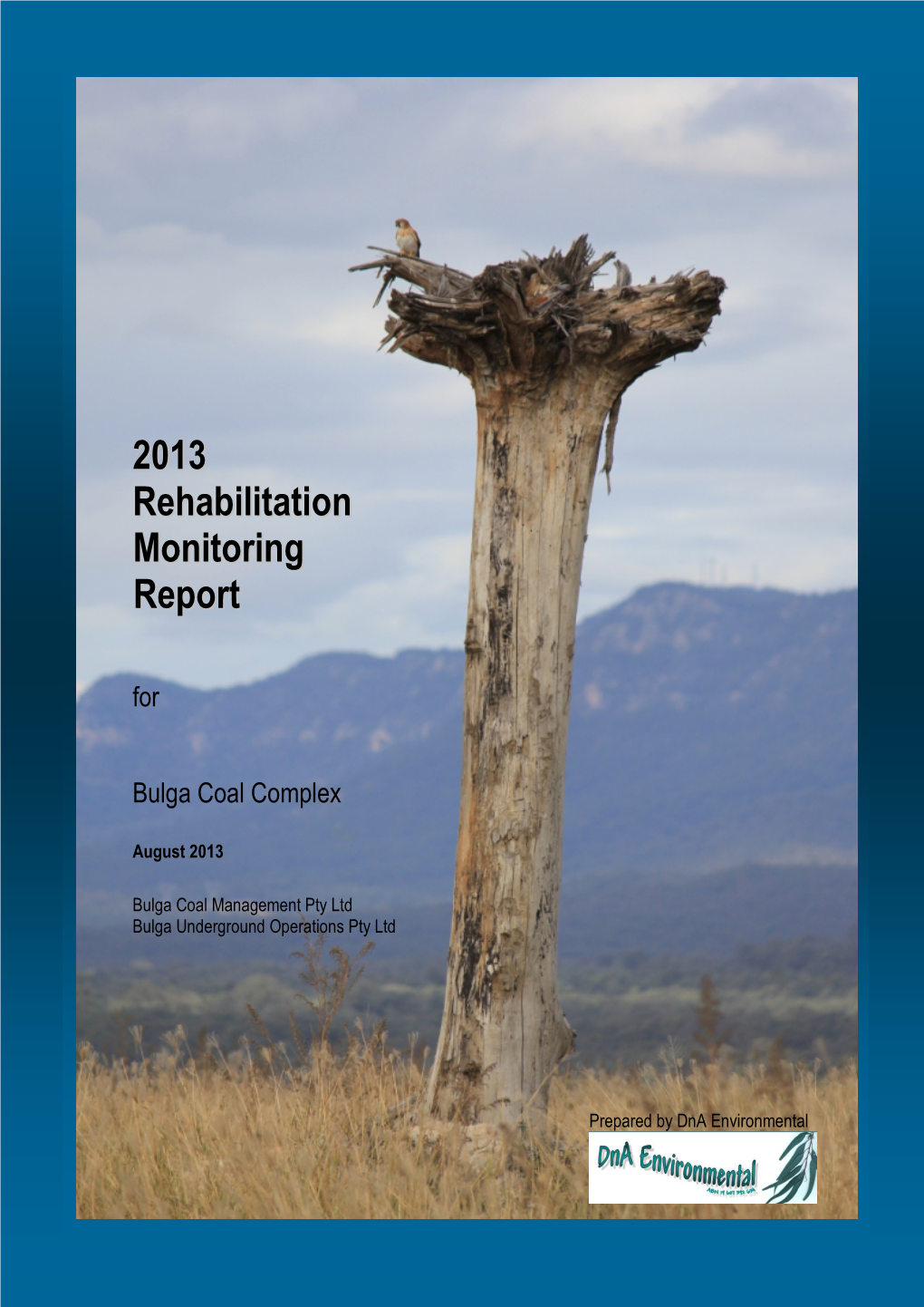 2008 Rehabilitation Monitoring