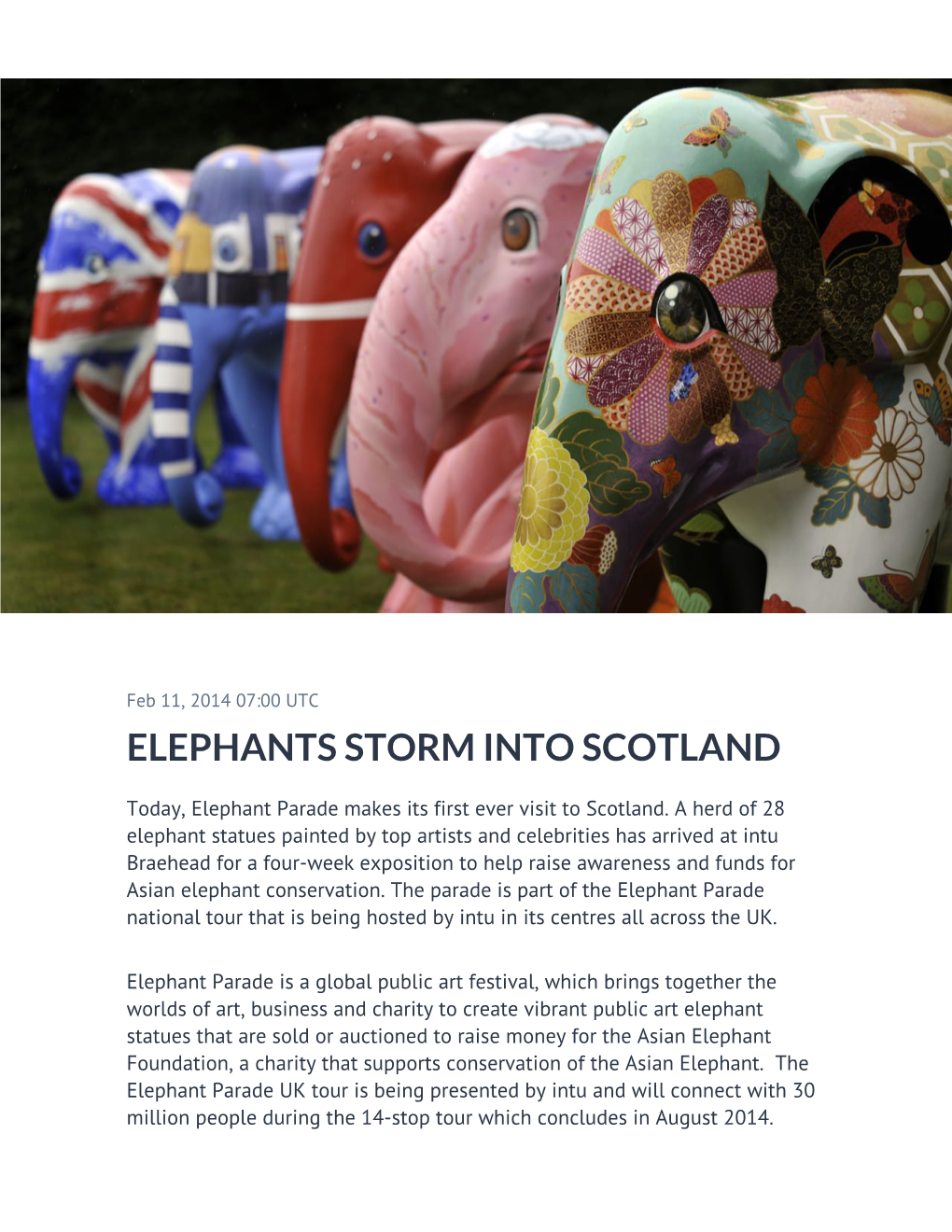 Elephants Storm Into Scotland