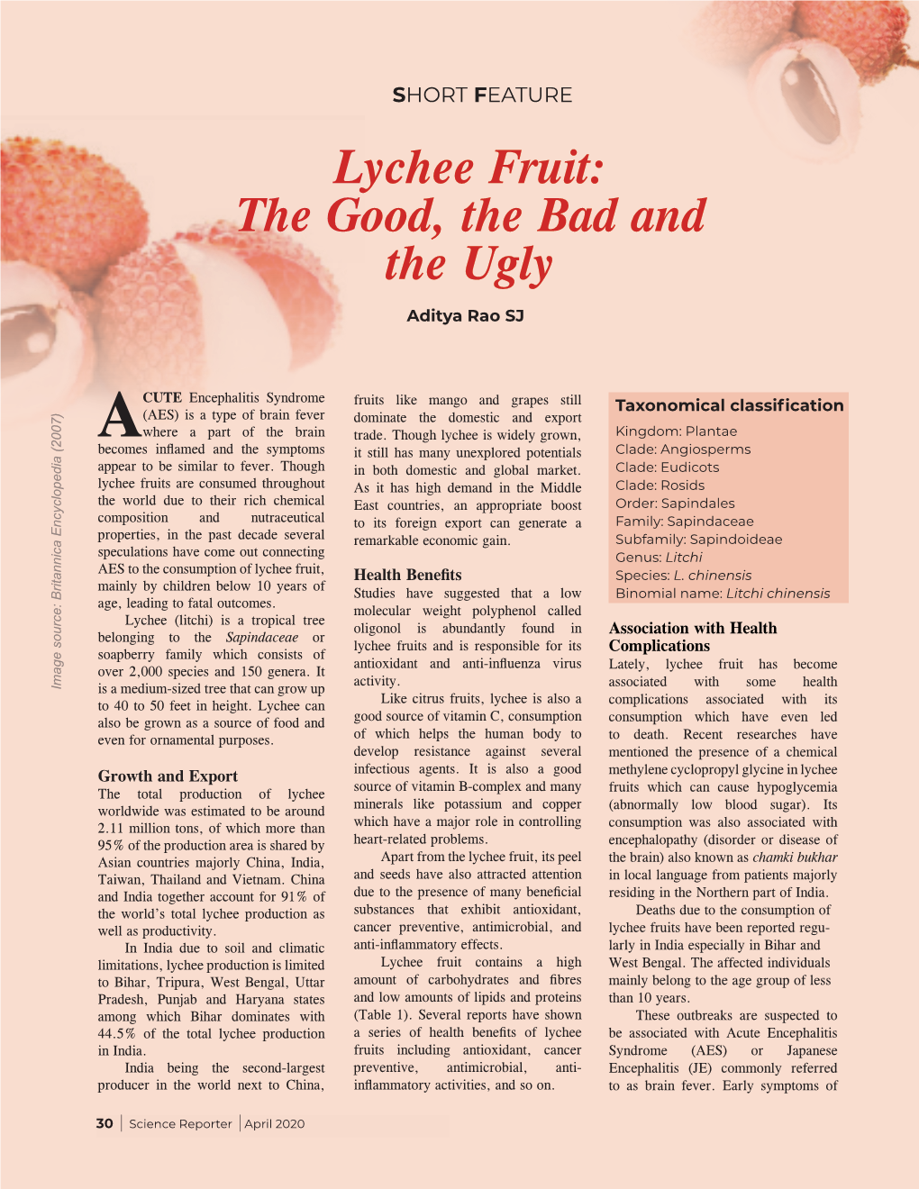 Lychee Fruit: the Good, the Bad and the Ugly