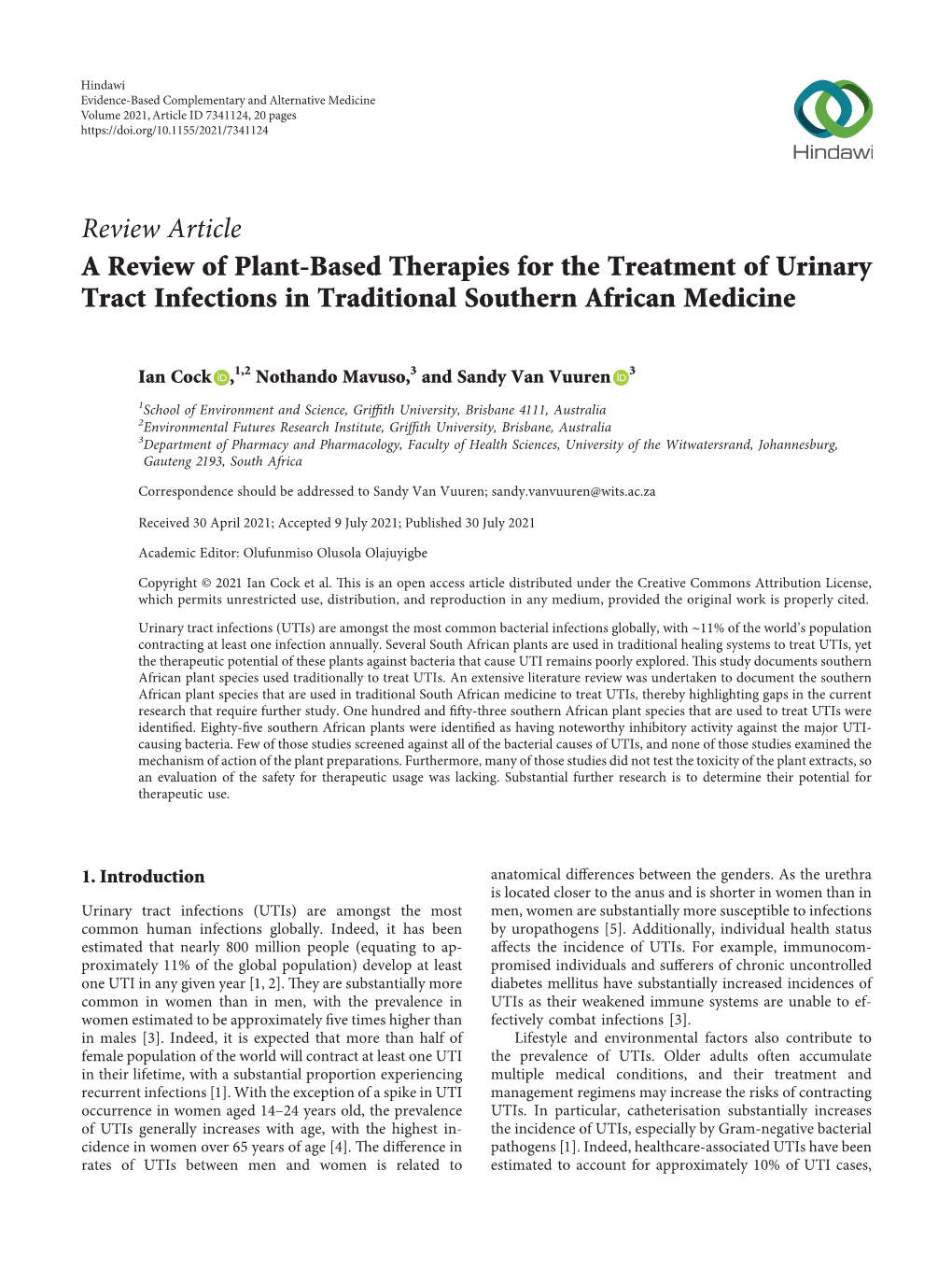 A Review of Plant-Based Therapies for the Treatment of Urinary Tract Infections in Traditional Southern African Medicine