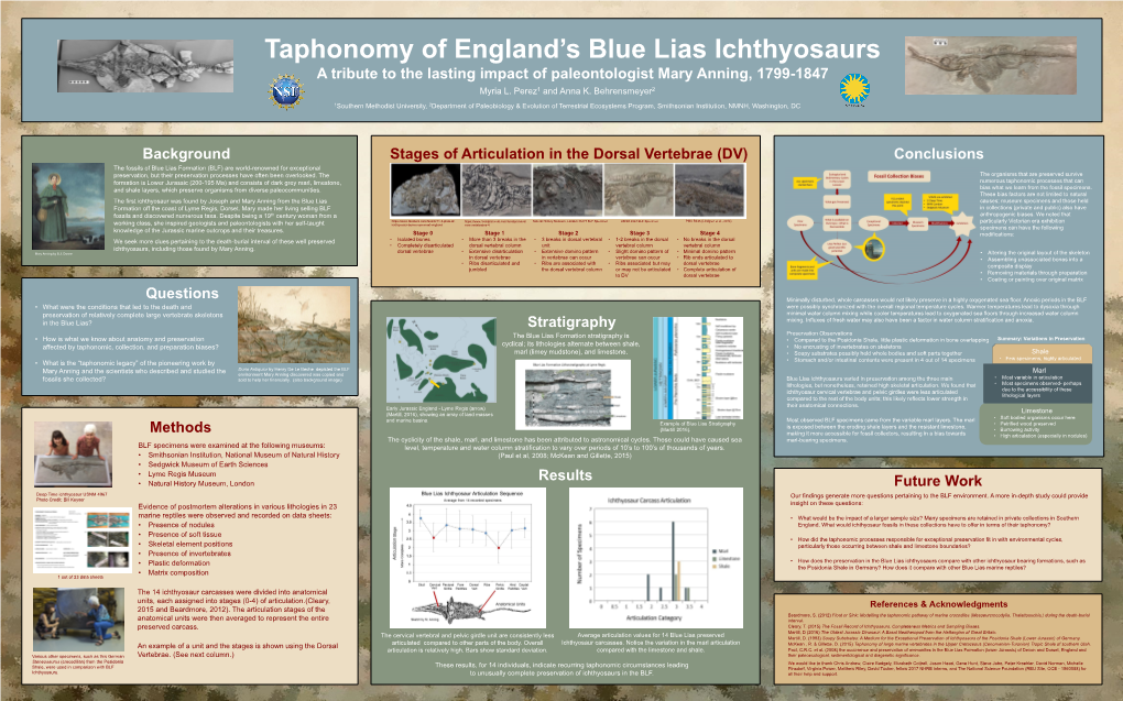 Taphonomy of England's Blue Lias Ichthyosaurs