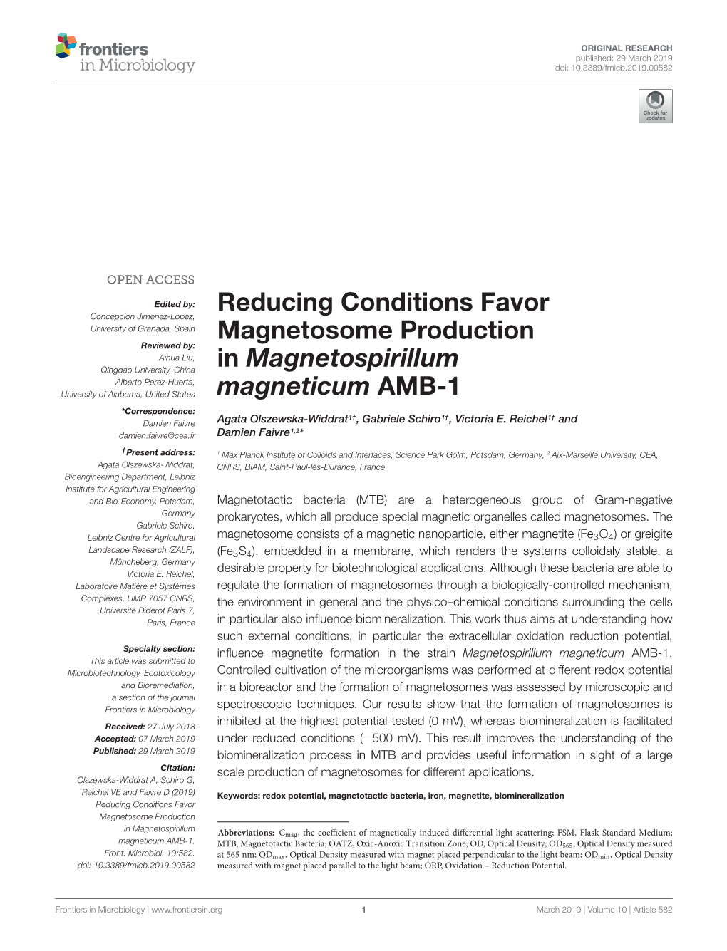 Reducing Conditions Favor Magnetosome Production In