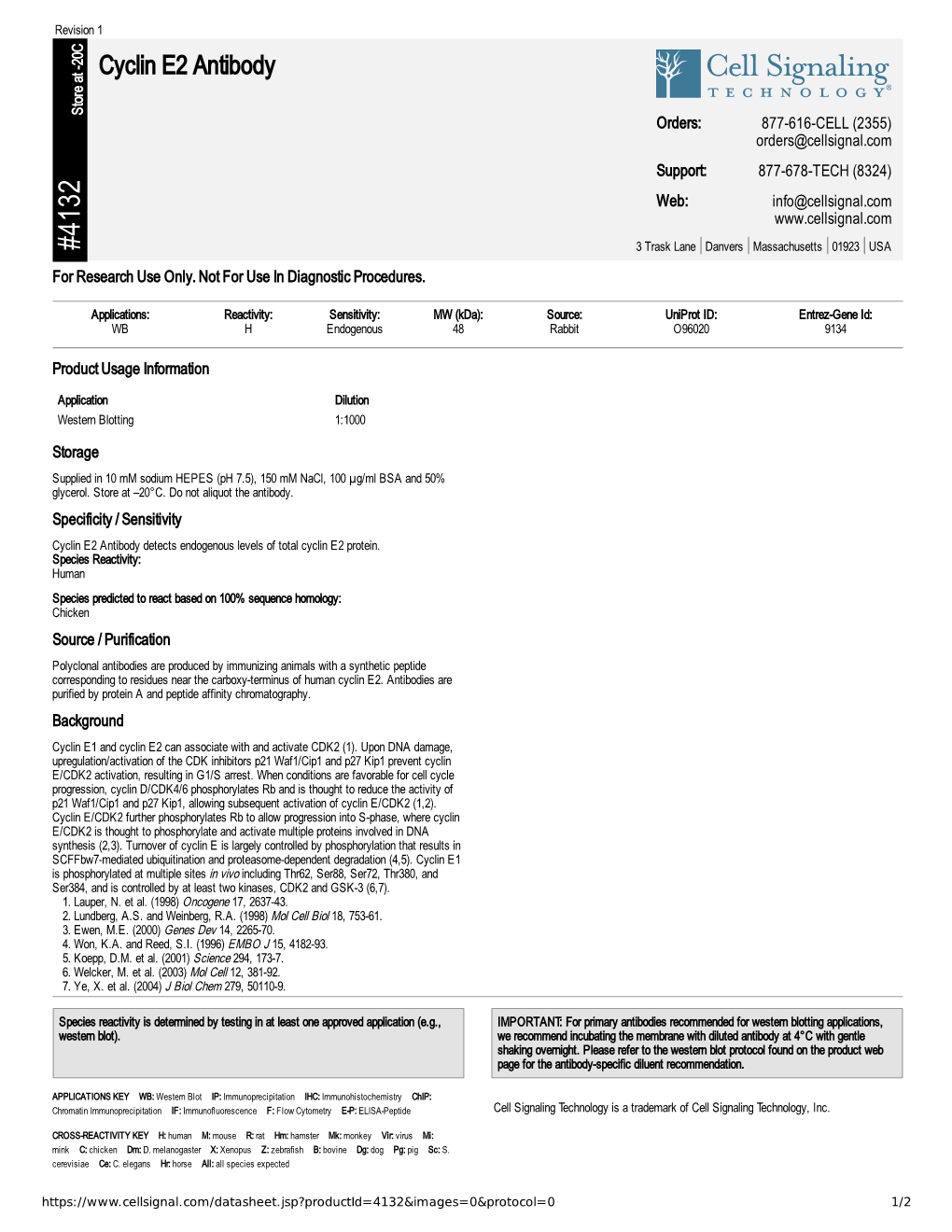 Cyclin E2 Antibody A