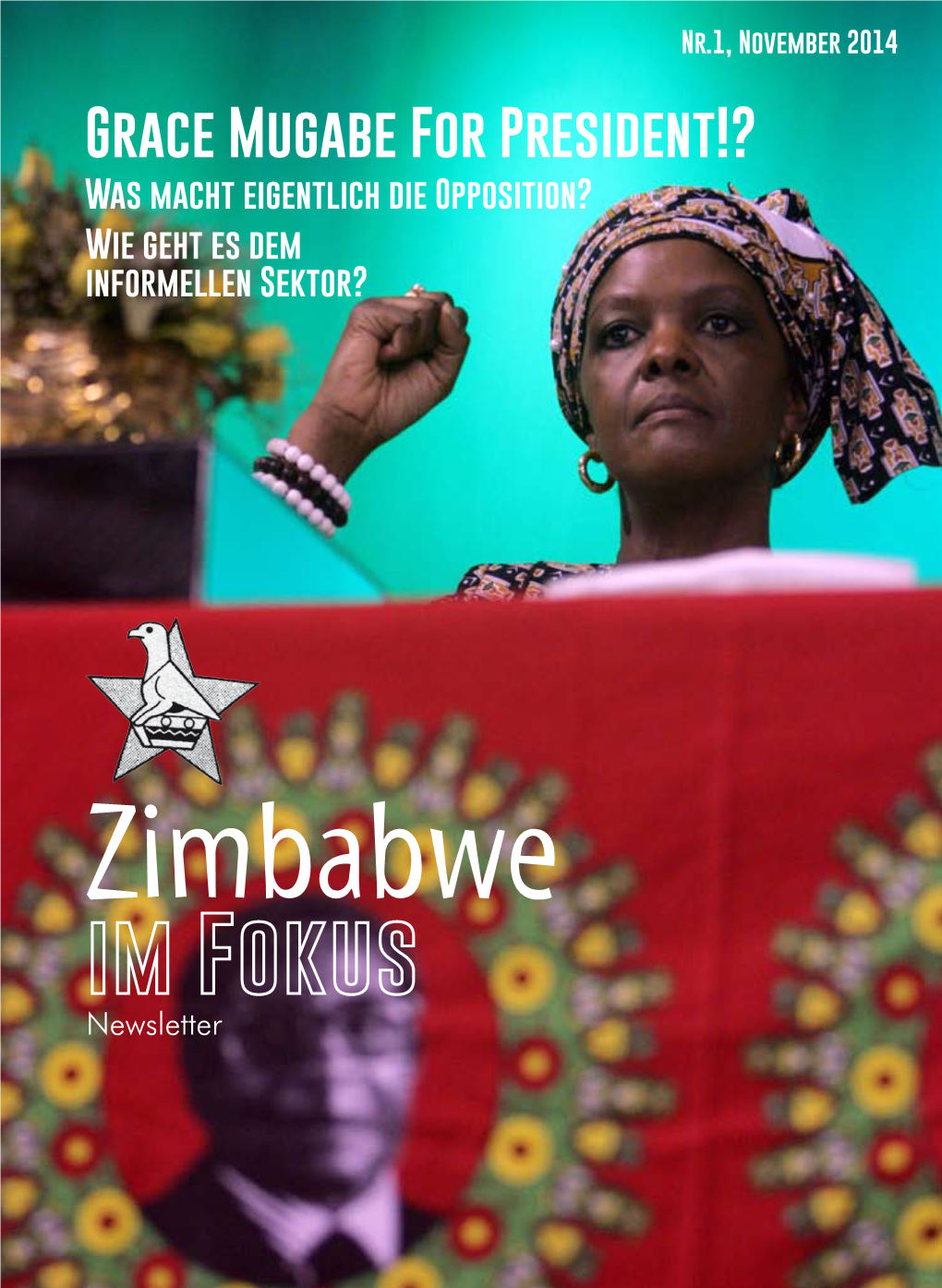Im Fokus Newsletter Was Und Wofür Ist „Zimbabwe Aktuell“?