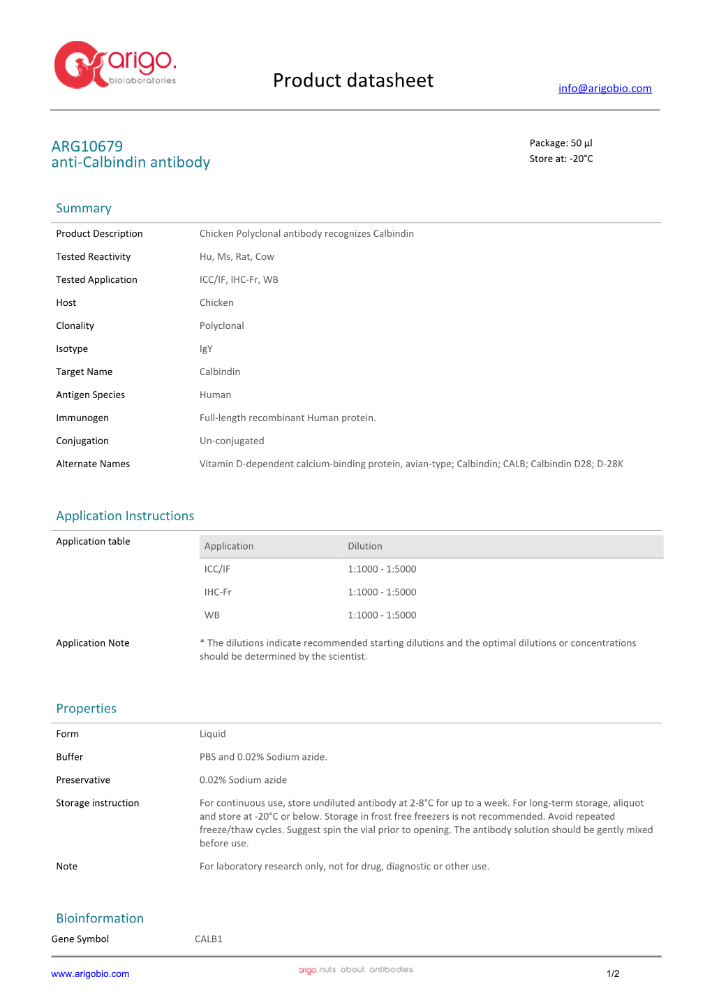 Anti-Calbindin Antibody (ARG10679)