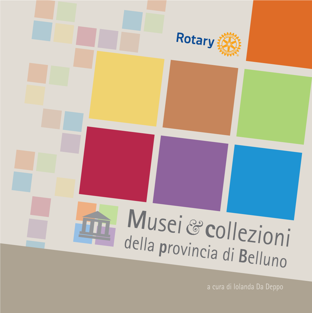 Musei Collezioni