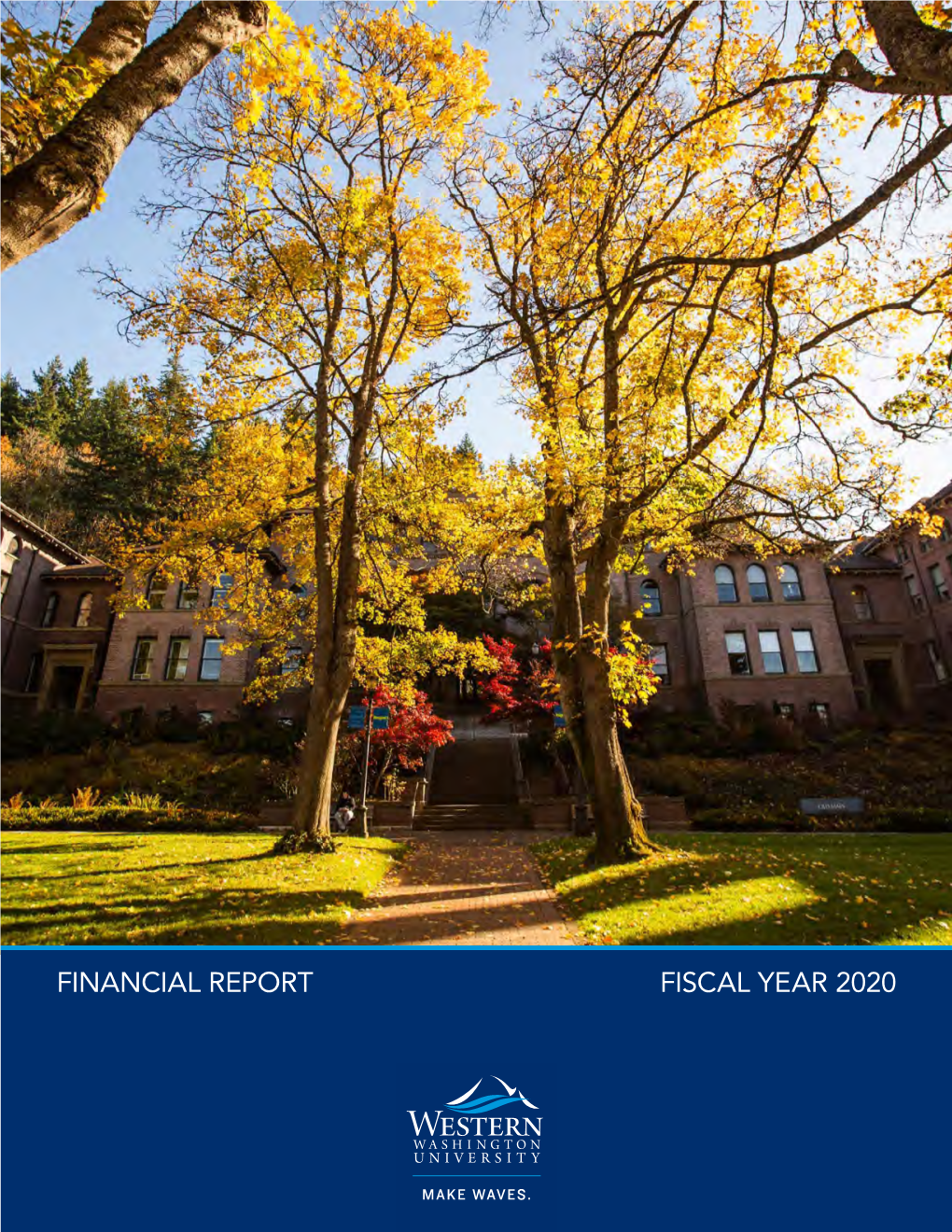 Financial Report Fiscal Year 2020