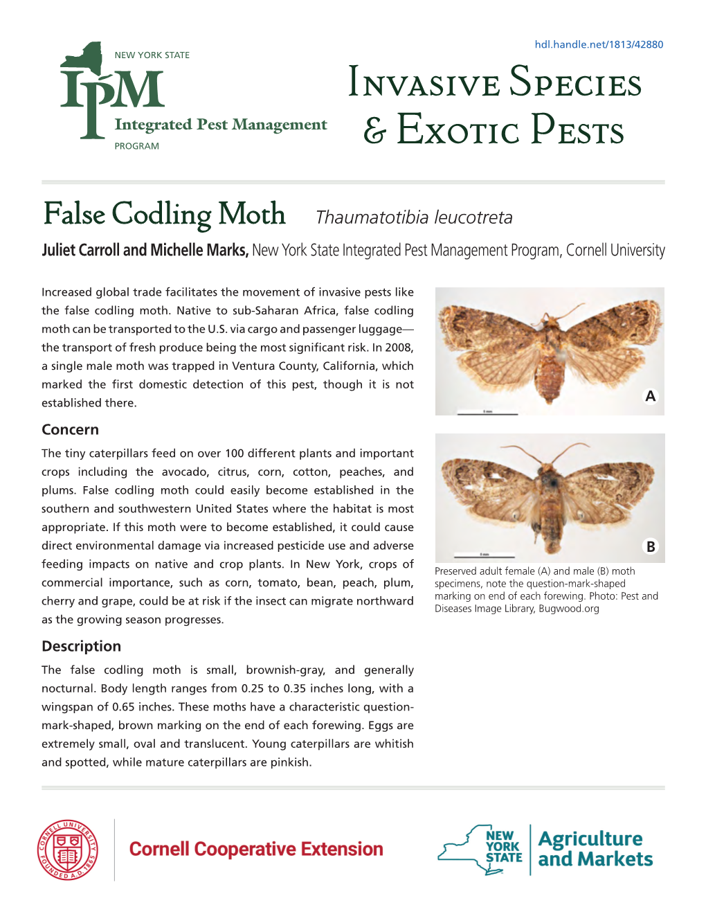 False Codling Moth Thaumatotibia Leucotreta Juliet Carroll and Michelle Marks, New York State Integrated Pest Management Program, Cornell University
