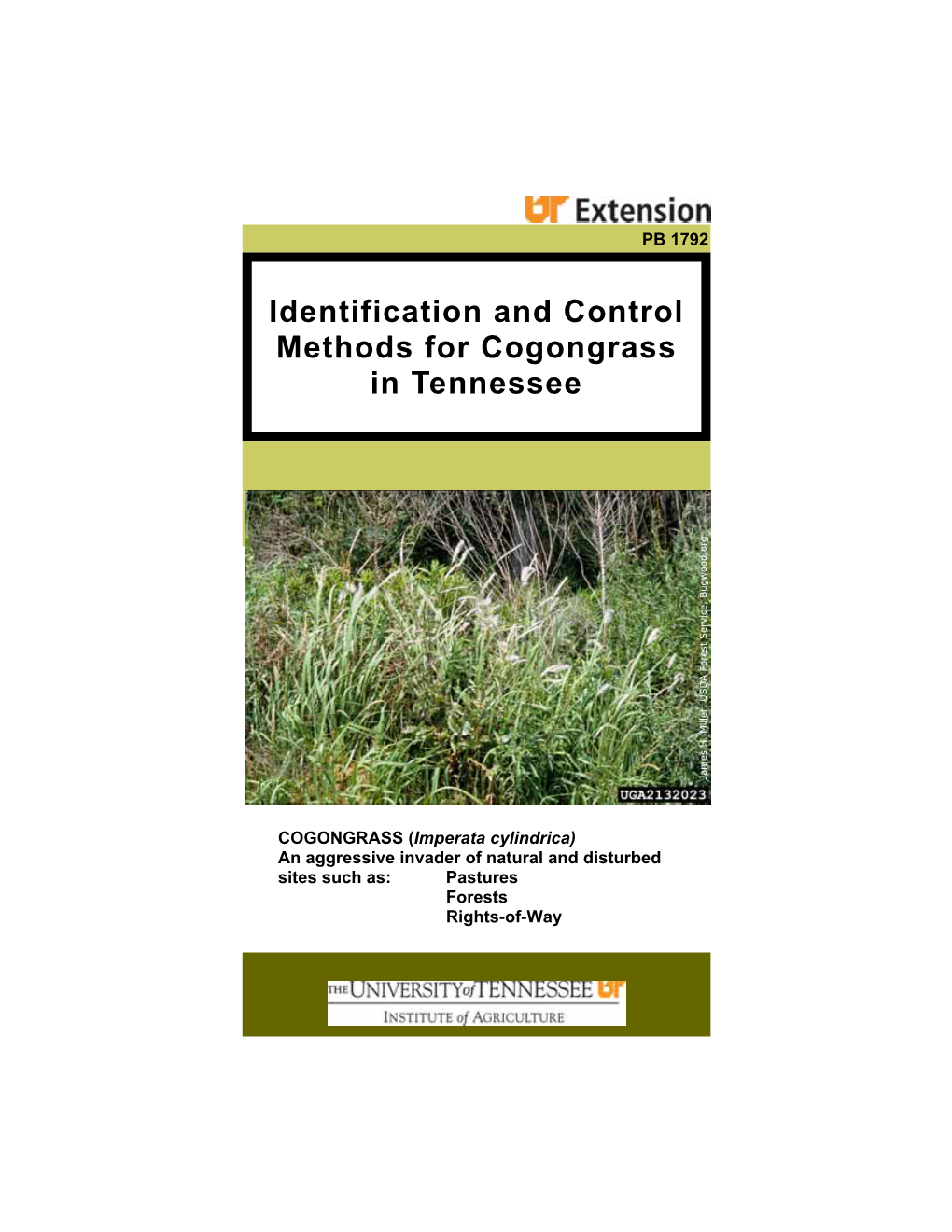 Identification and Control Methods for Cogongrass in Tennessee