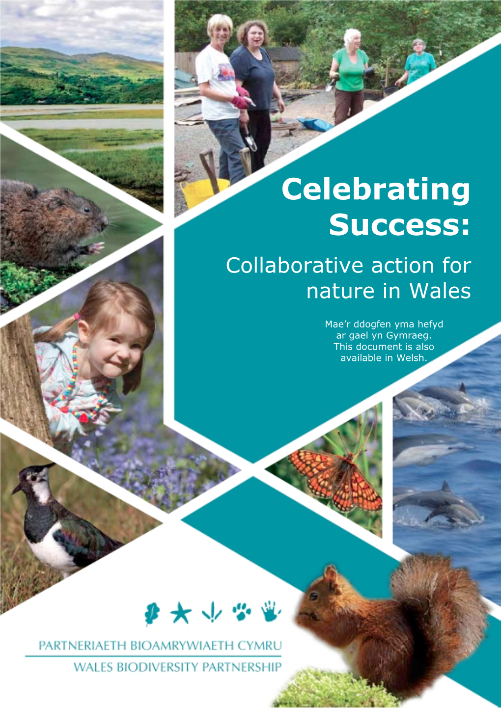 Celebrating Success: Collaborative Action for Nature in Wales