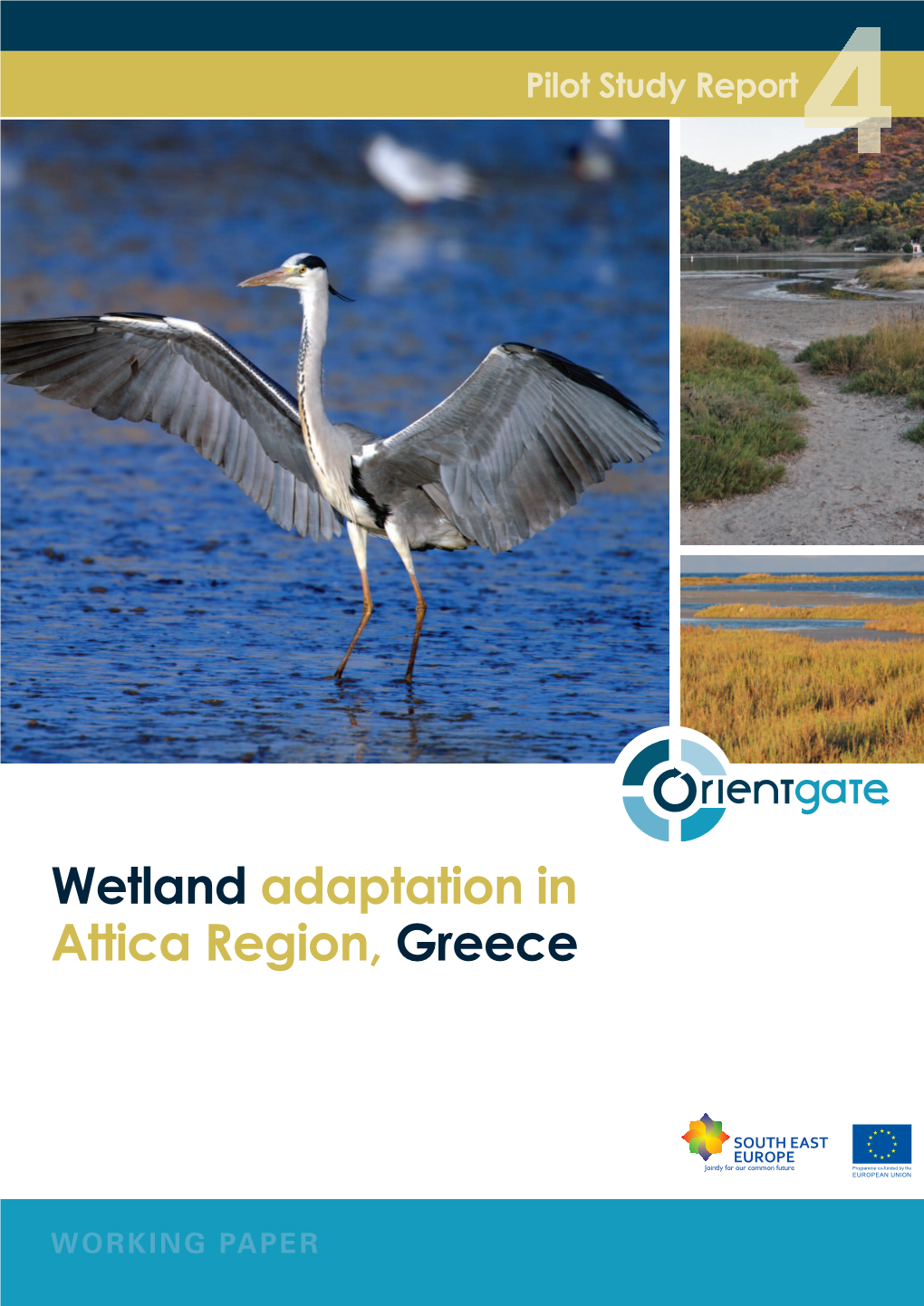 Pilot Study 4 Report: Wetland Adaptation in Attica Region, Greece