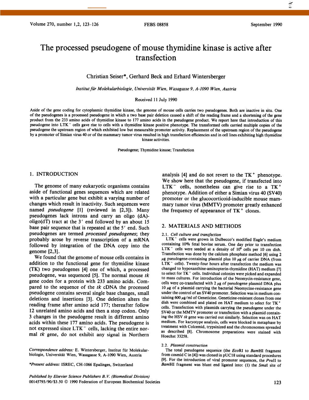 The Processed Pseudogene of Mouse Thymidine Kinase Is Active After Transfection