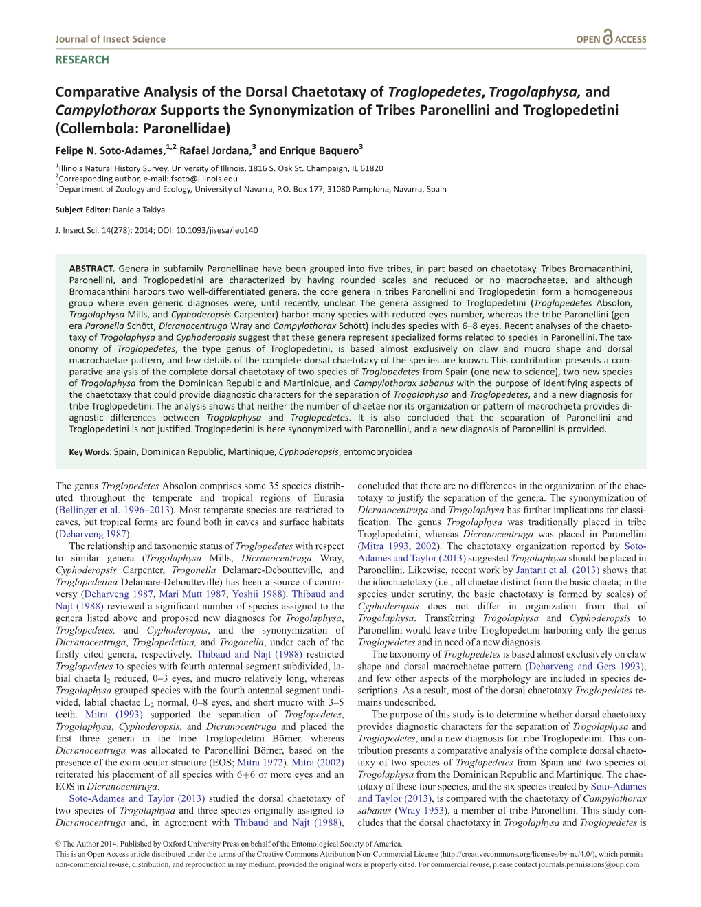 Comparative Analysis of the Dorsal Chaetotaxy of Troglopedetes, Trogolaphysa, and Campylothorax Supports the Synonymization of T