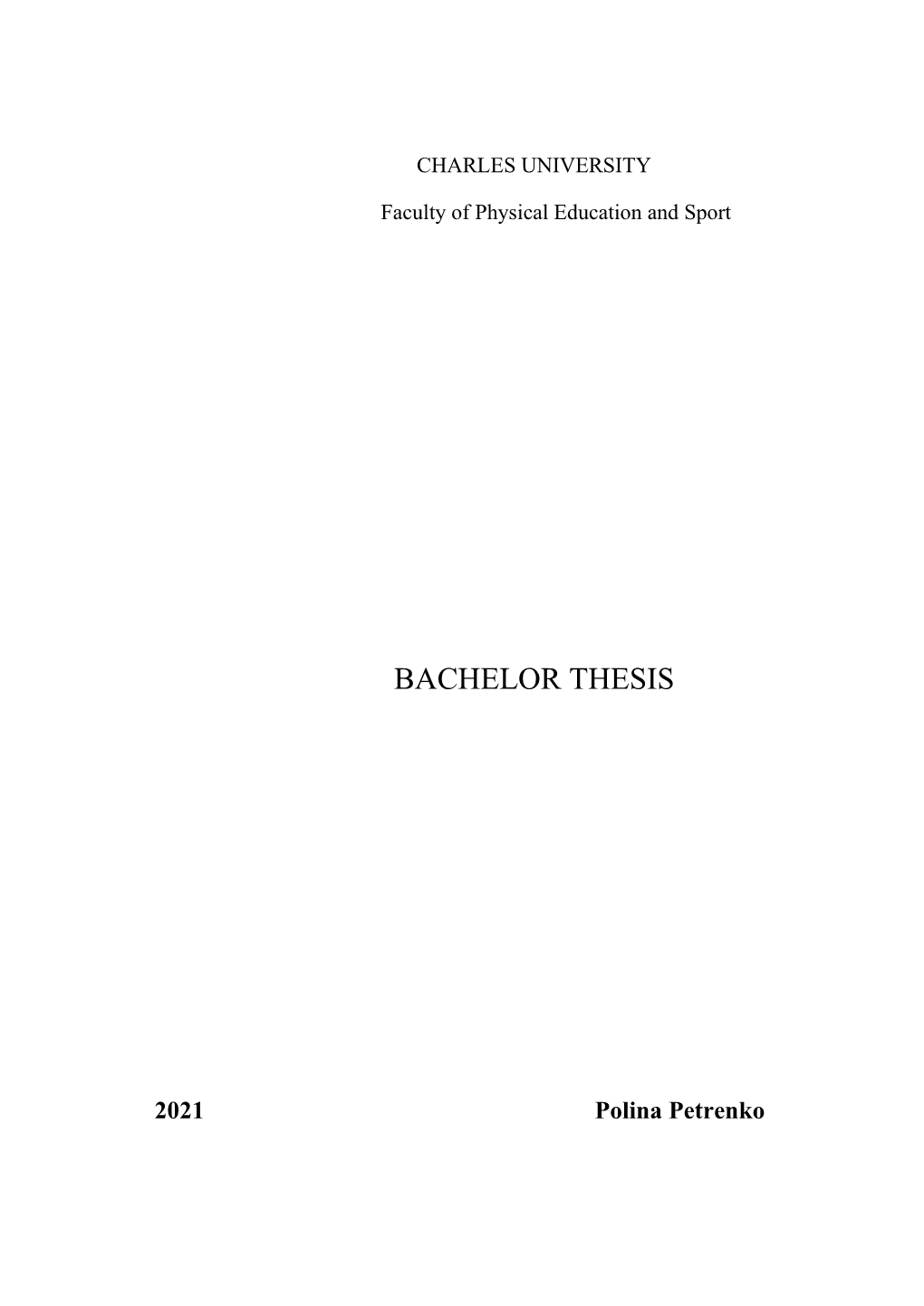 Bachelor Thesis