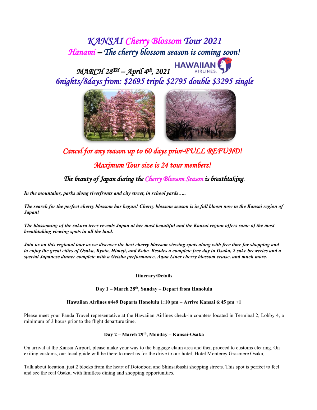 KANSAI Cherry Blossom Tour 2021 Hanami – the Cherry Blossom Season Is Coming Soon!