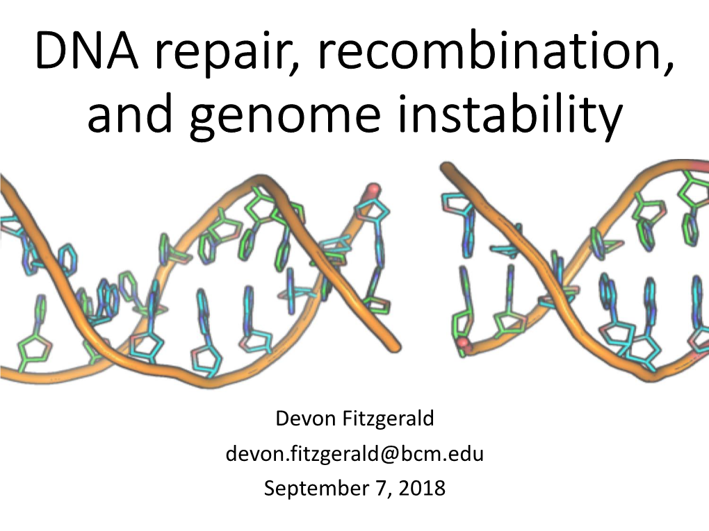 DNA Repair, Recombination, and Genome Instability