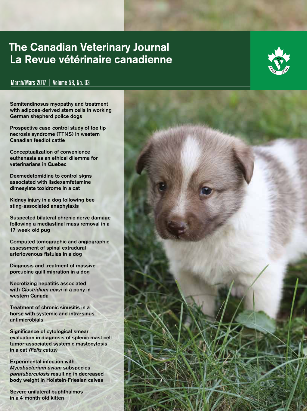 The Canadian Veterinary Journal La Revue Vétérinaire Canadienne the Canadian Veterinary Journal La Revue Vétérinaire Canadie