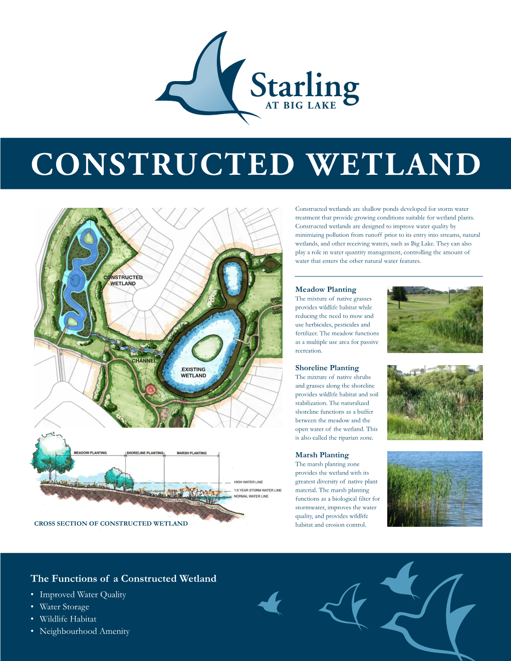 The Functions of a Constructed Wetland • Improved Water Quality • Water Storage • Wildlife Habitat • Neighbourhood Amenity BIOSWALES
