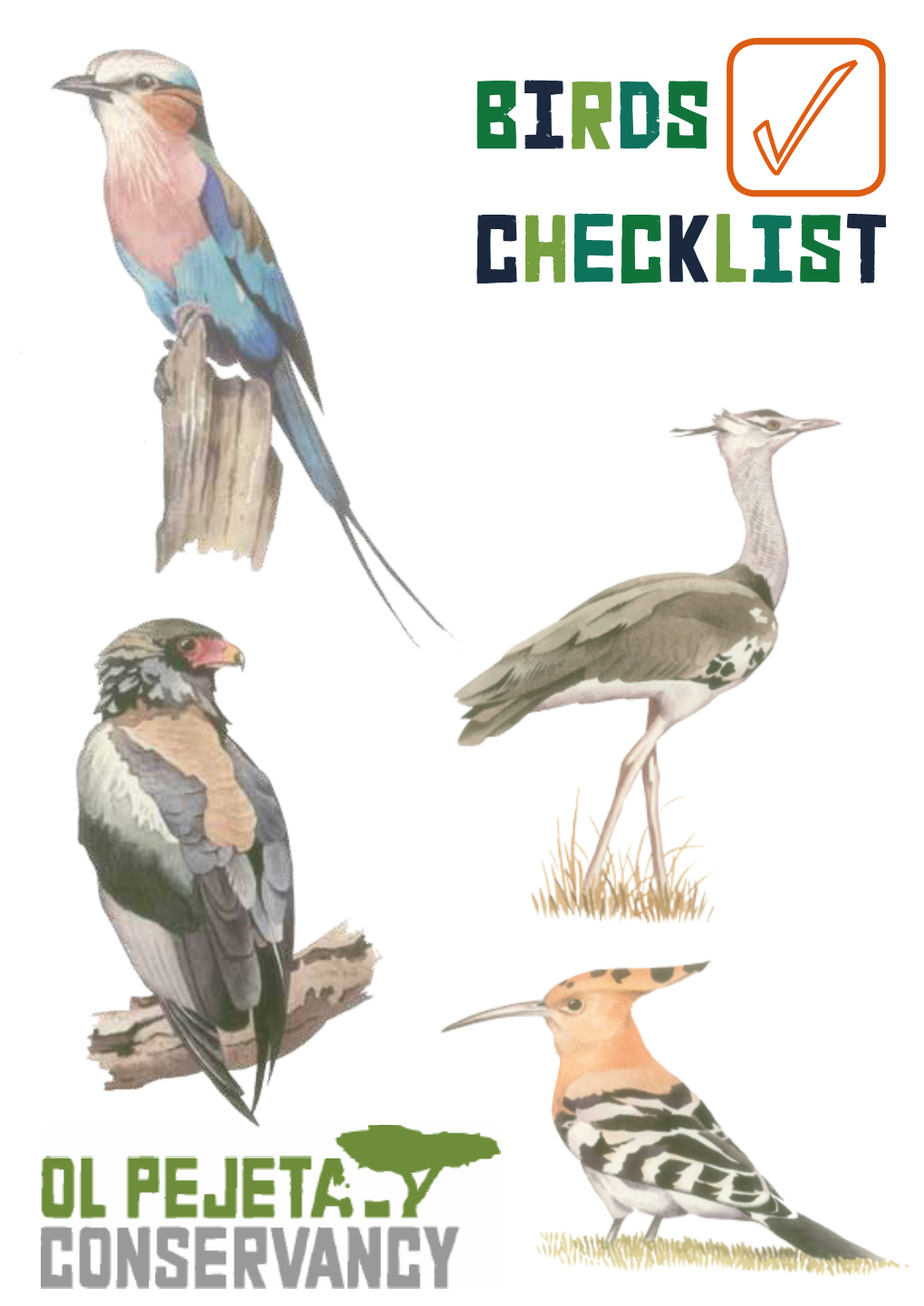 Birds CHECKLIST