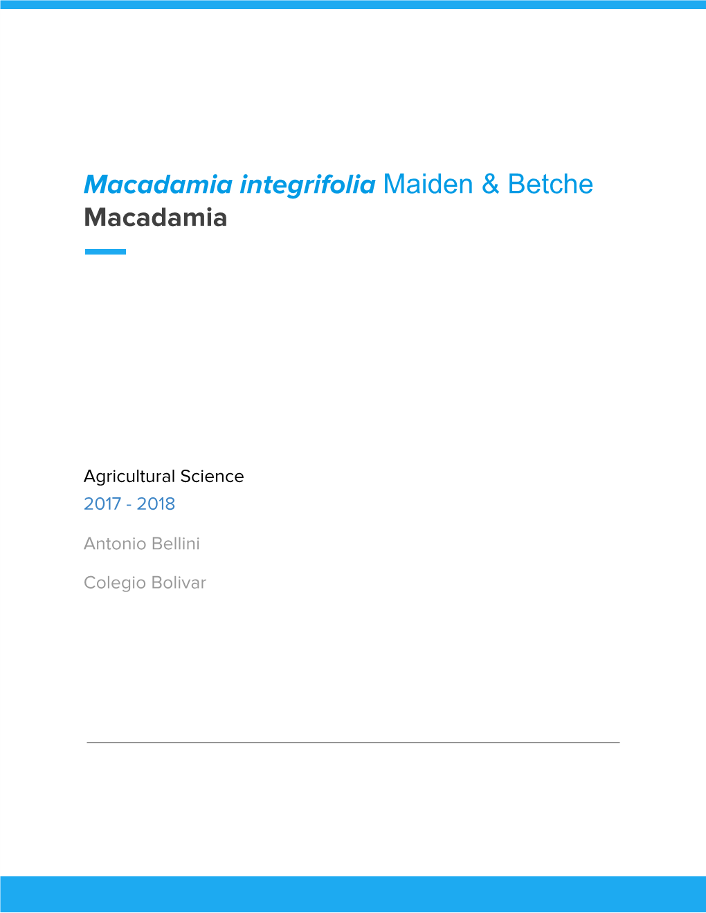 Macadamia Integrifolia Maiden & Betche ​ Macadamia