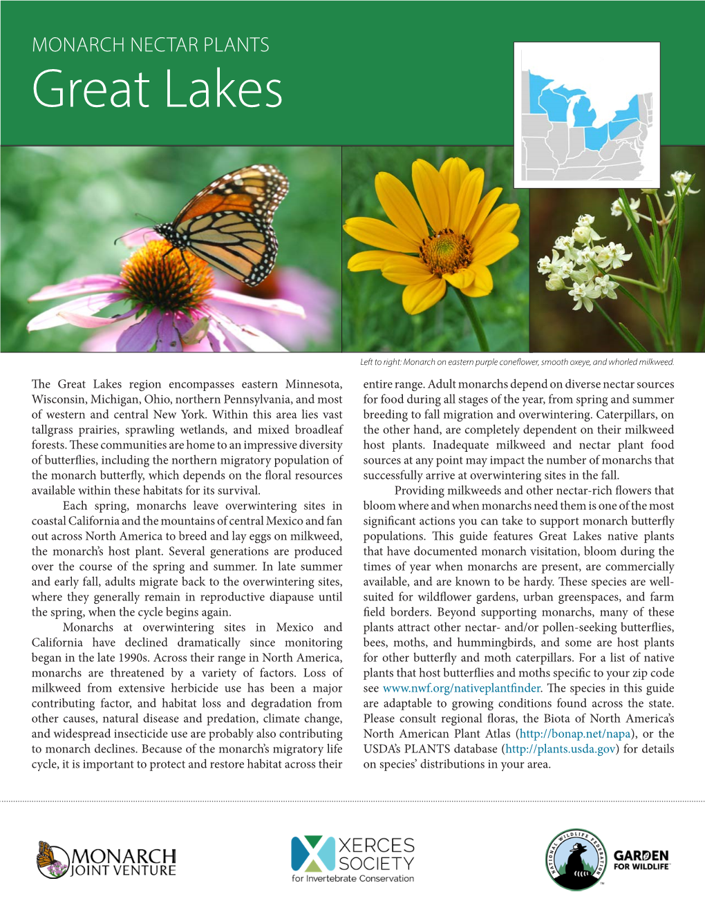 Great Lakes Monarch Nectar Plants