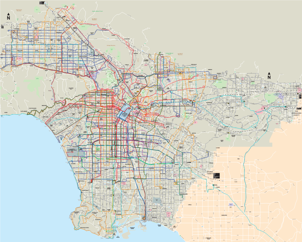 Metro Bus and Metro Rail System