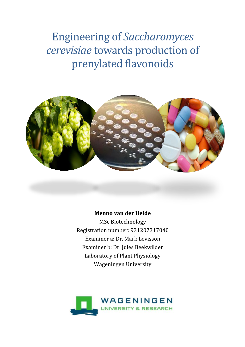 Engineering of Saccharomyces Cerevisiae Towards Production of Prenylated Flavonoids