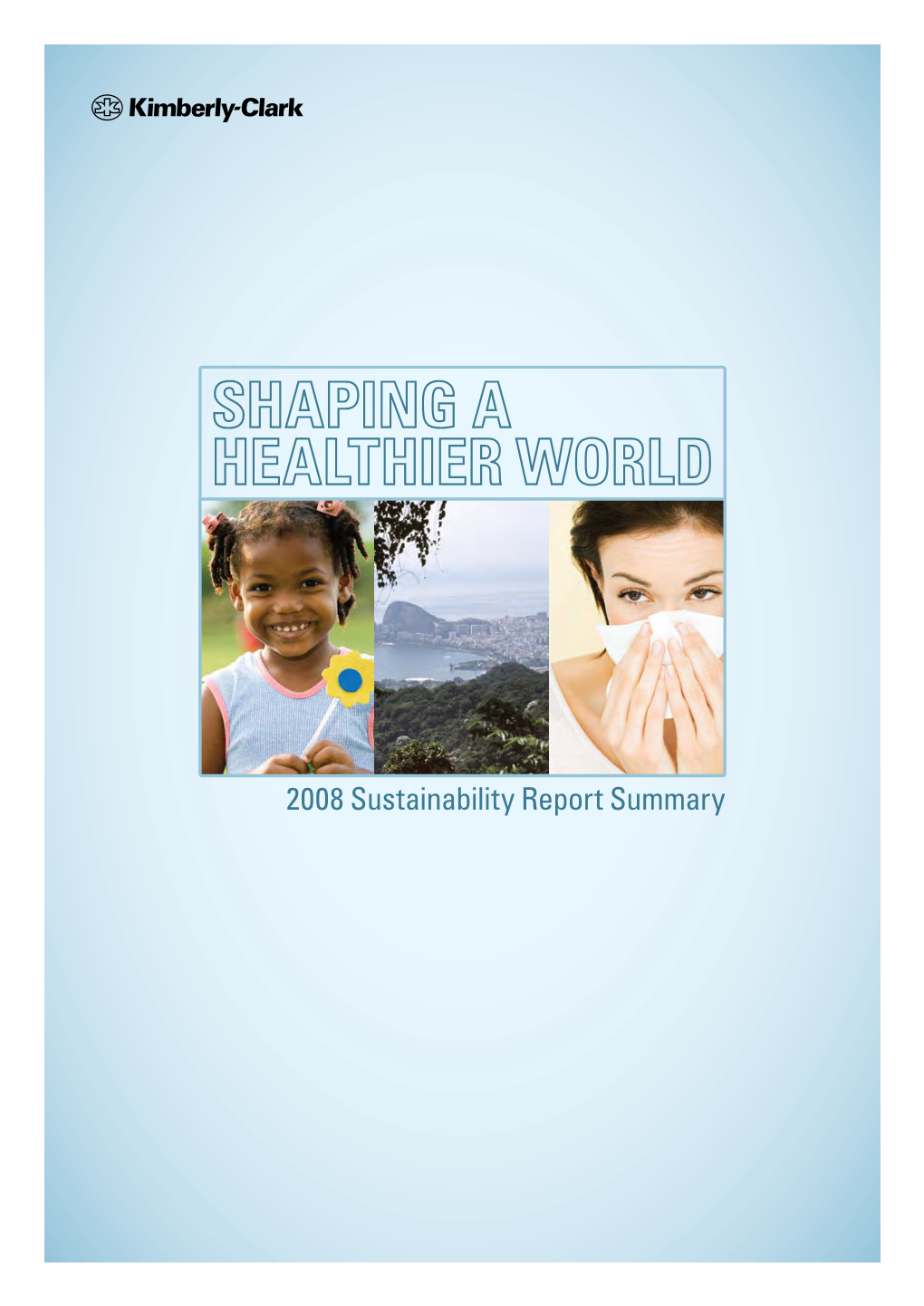 2008 Sustainability Report Summary About This Report