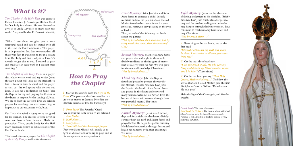 Holy-Fast-Chaplet-Booklet-Final6.8.Pdf