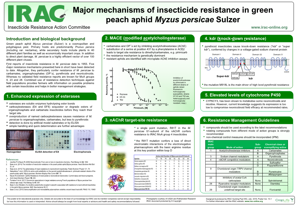 Myzus Persicae Sulzer Insecticide Resistance Action Committee