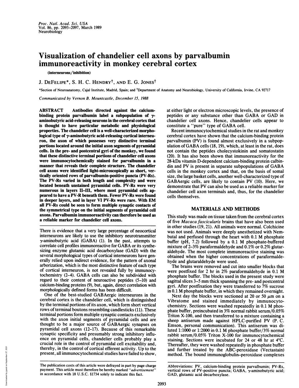 Immunoreactivity in Monkey Cerebral Cortex (Interneurons/Inhibition) J