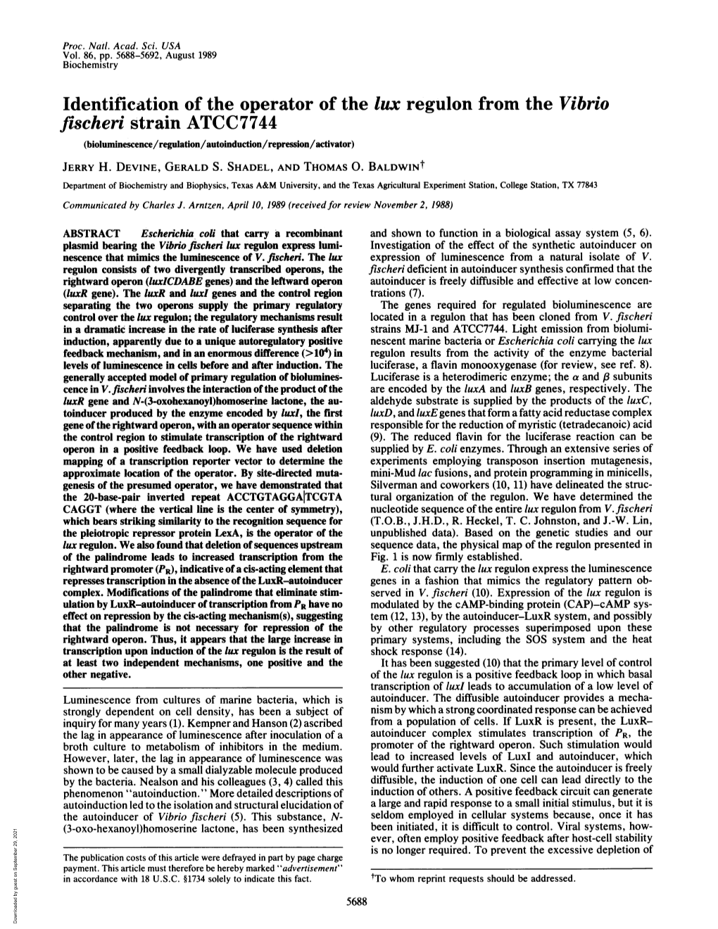 Fischeri Strain ATCC7744 (Bioluminescence/Regulation/Autoinduction/Repression/Activator) JERRY H