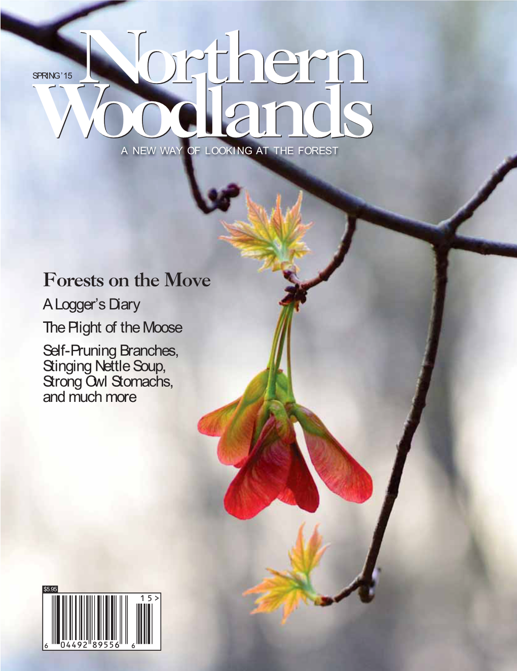 Forests on the Move a Logger’S Diary the Plight of the Moose Self-Pruning Branches, Stinging Nettle Soup, Strong Owl Stomachs, and Much More