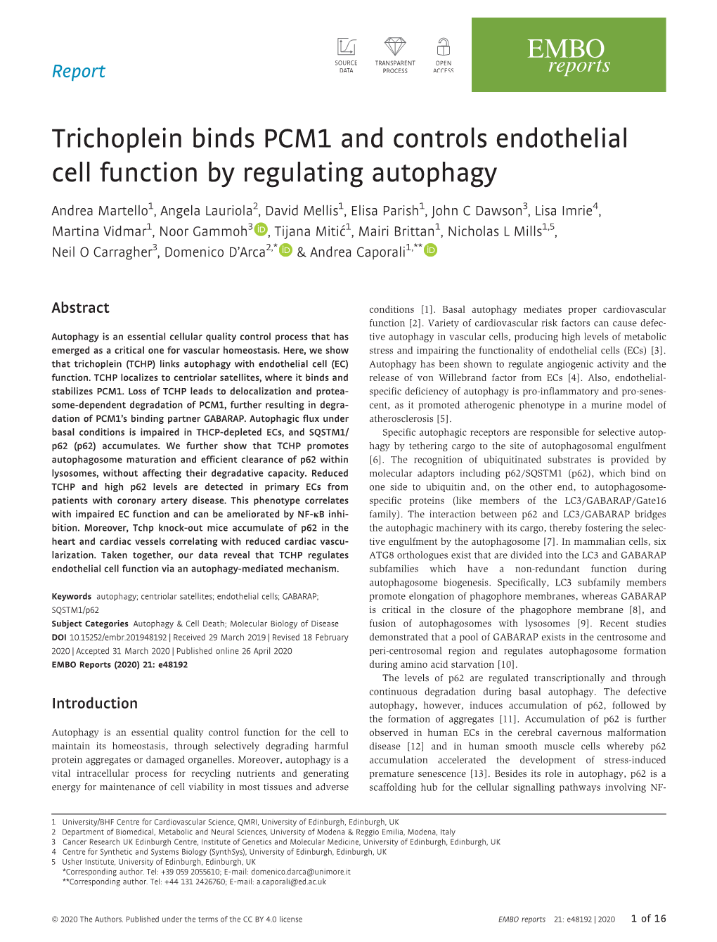 Trichoplein Binds PCM1 and Controls Endothelial Cell Function by Regulating Autophagy