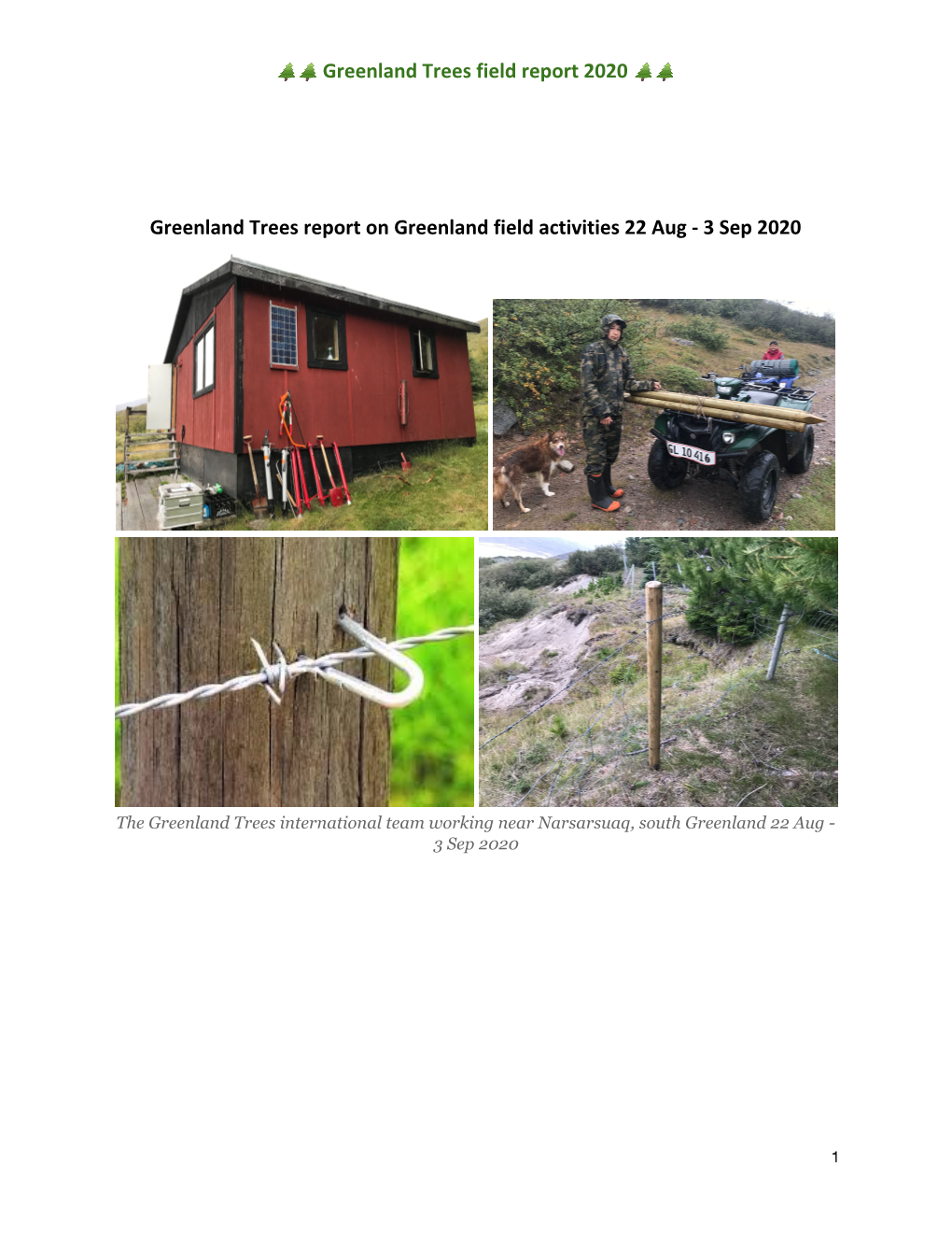 Field Report-Greenland Trees 2020