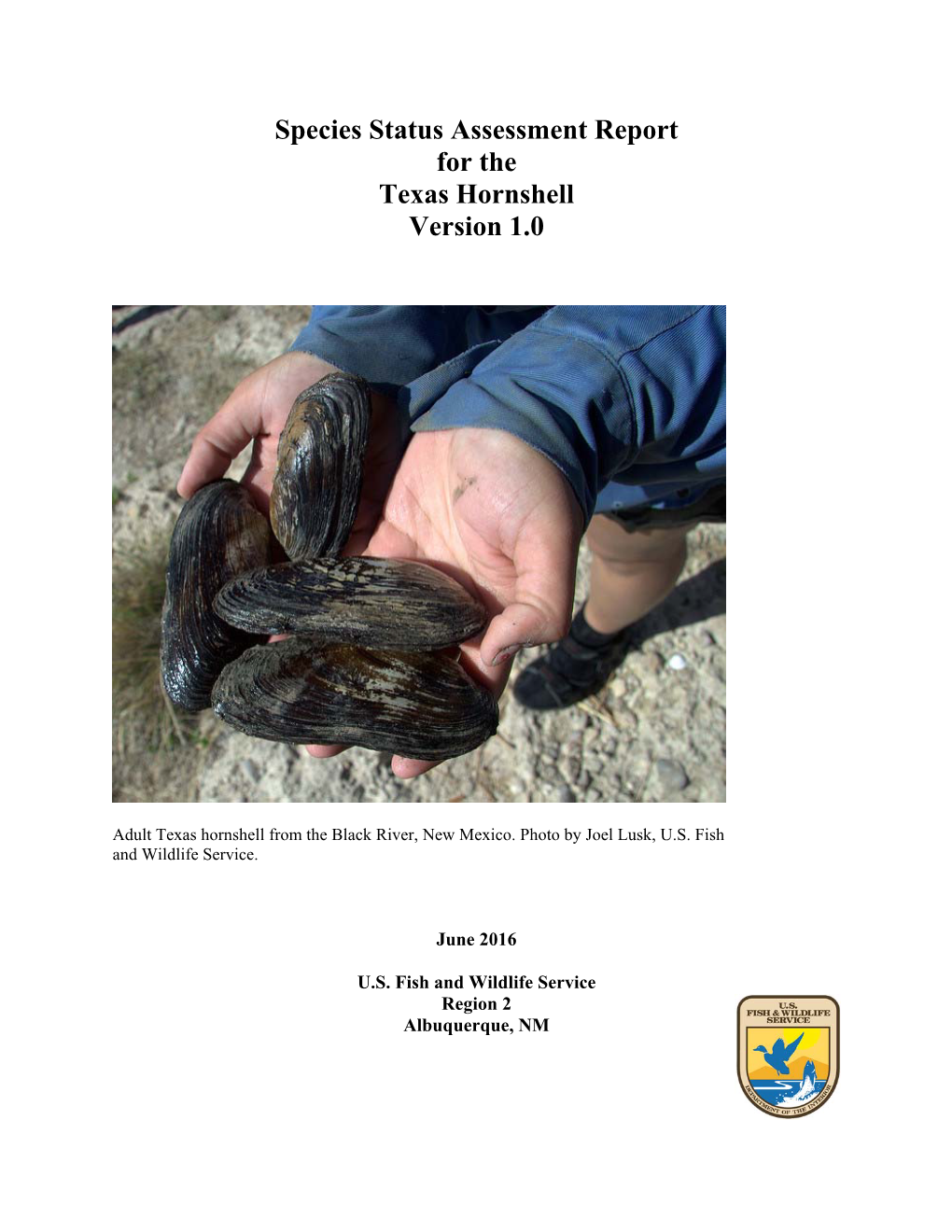 Species Status Assessment Report for the Texas Hornshell Version 1.0