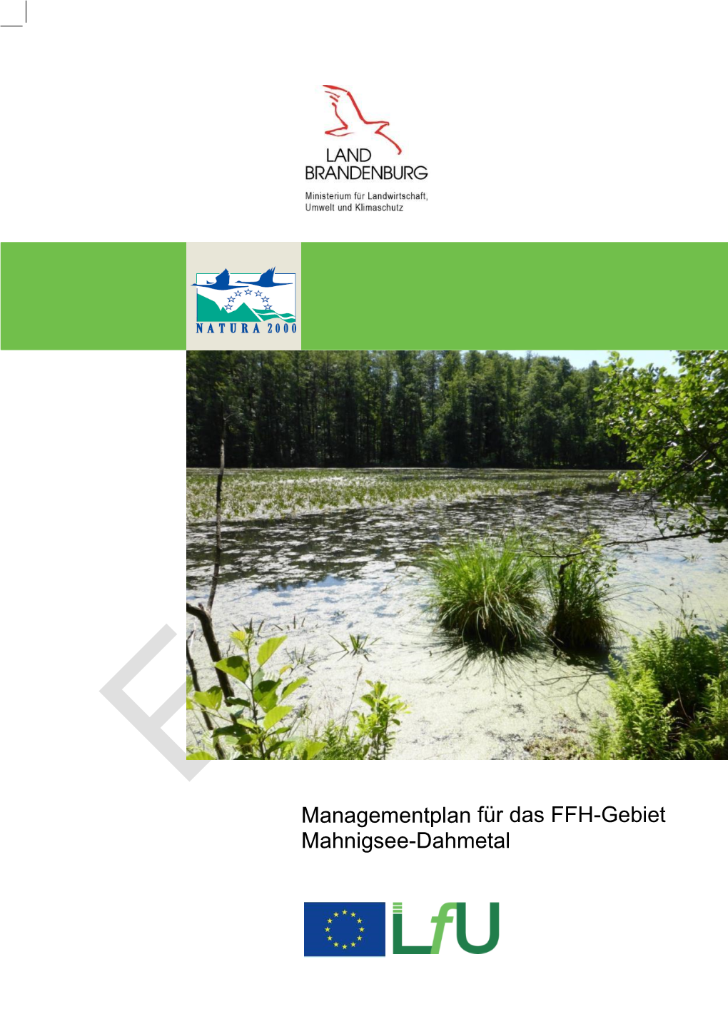 Managementplan Für Das FFH-Gebiet Mahnigsee-Dahmetal