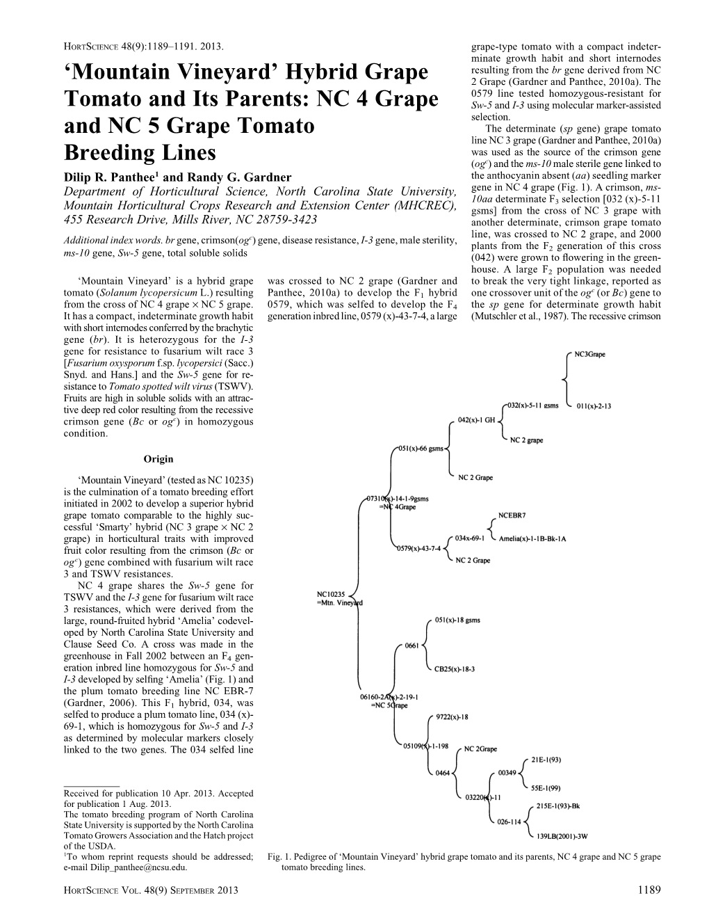 'Mountain Vineyard' Hybrid Grape Tomato and Its Parents: NC 4