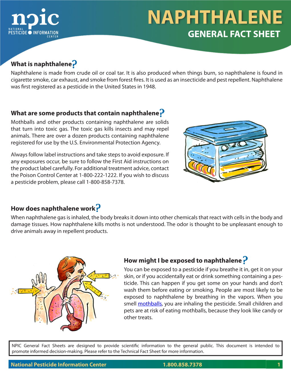 Naphthalene General Fact Sheet