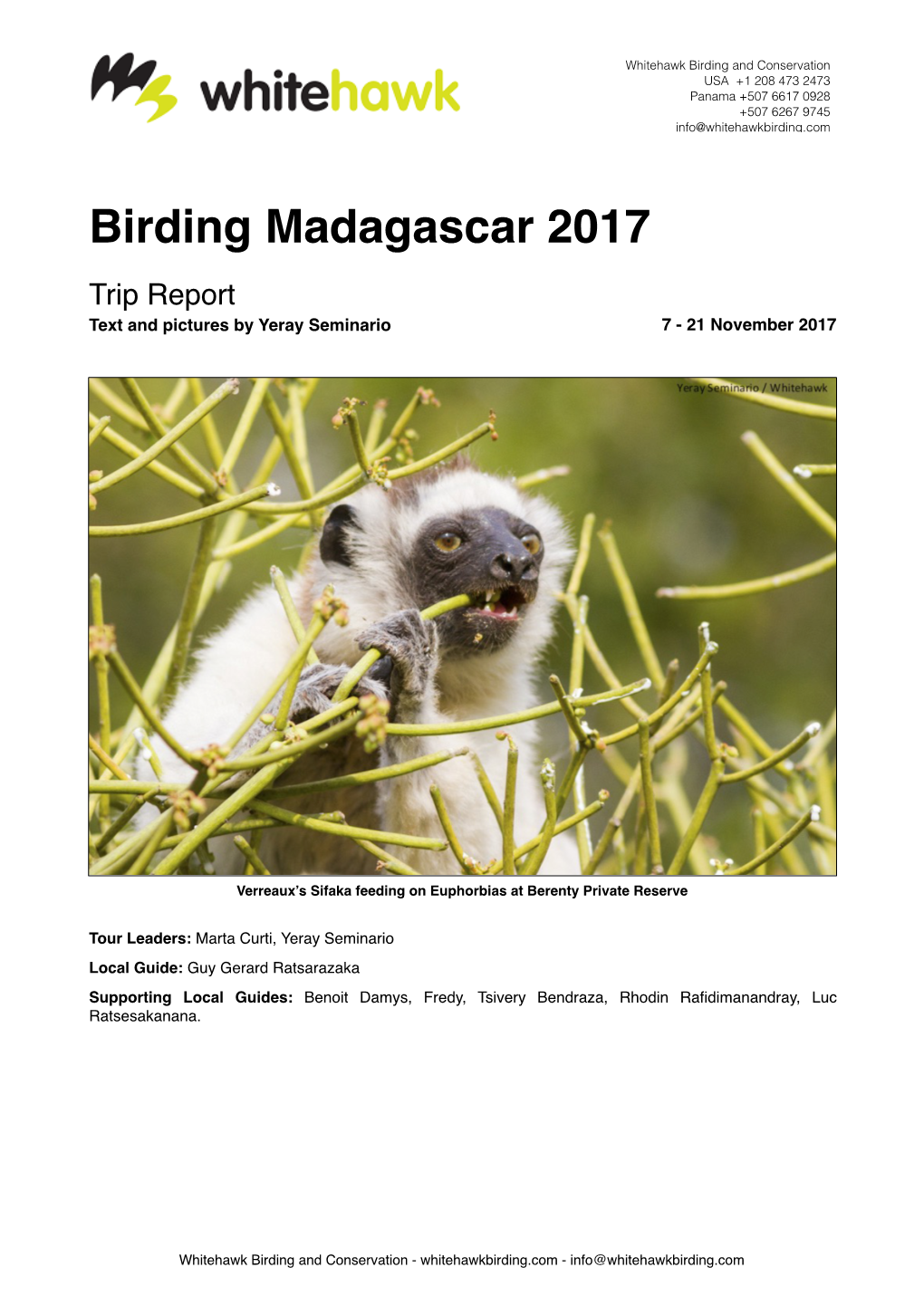 Birding Madagascar 2017 Trip Report