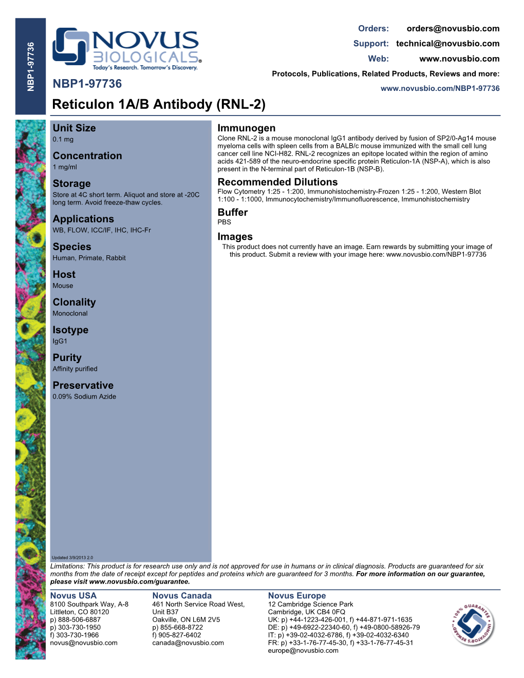 Reticulon 1A/B Antibody (RNL-2)