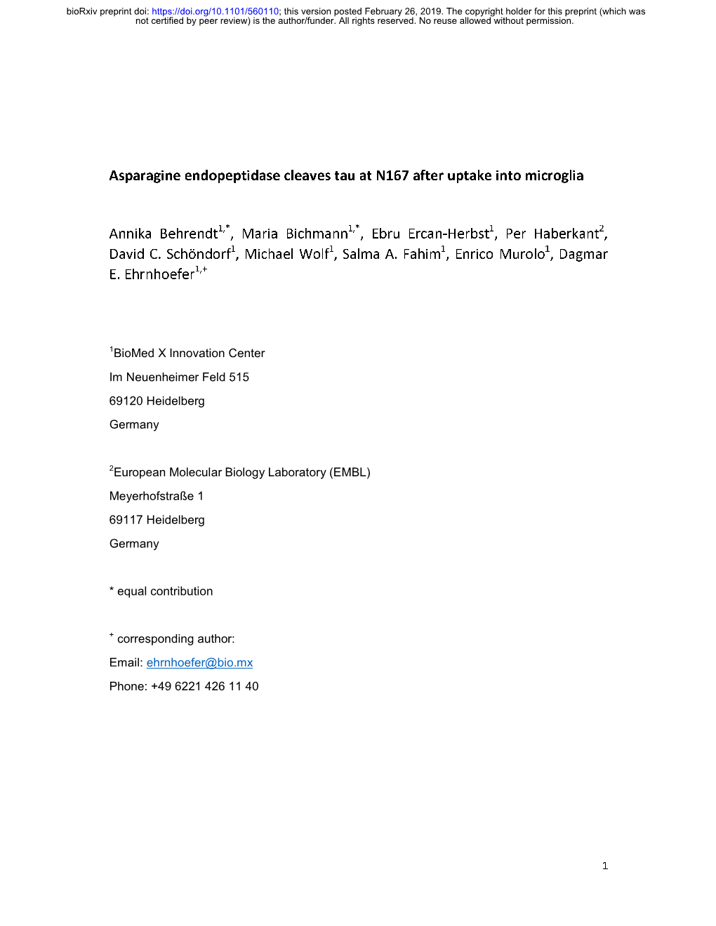 Asparagine Endopeptidase Cleaves Tau at N167 After Uptake Into Microglia