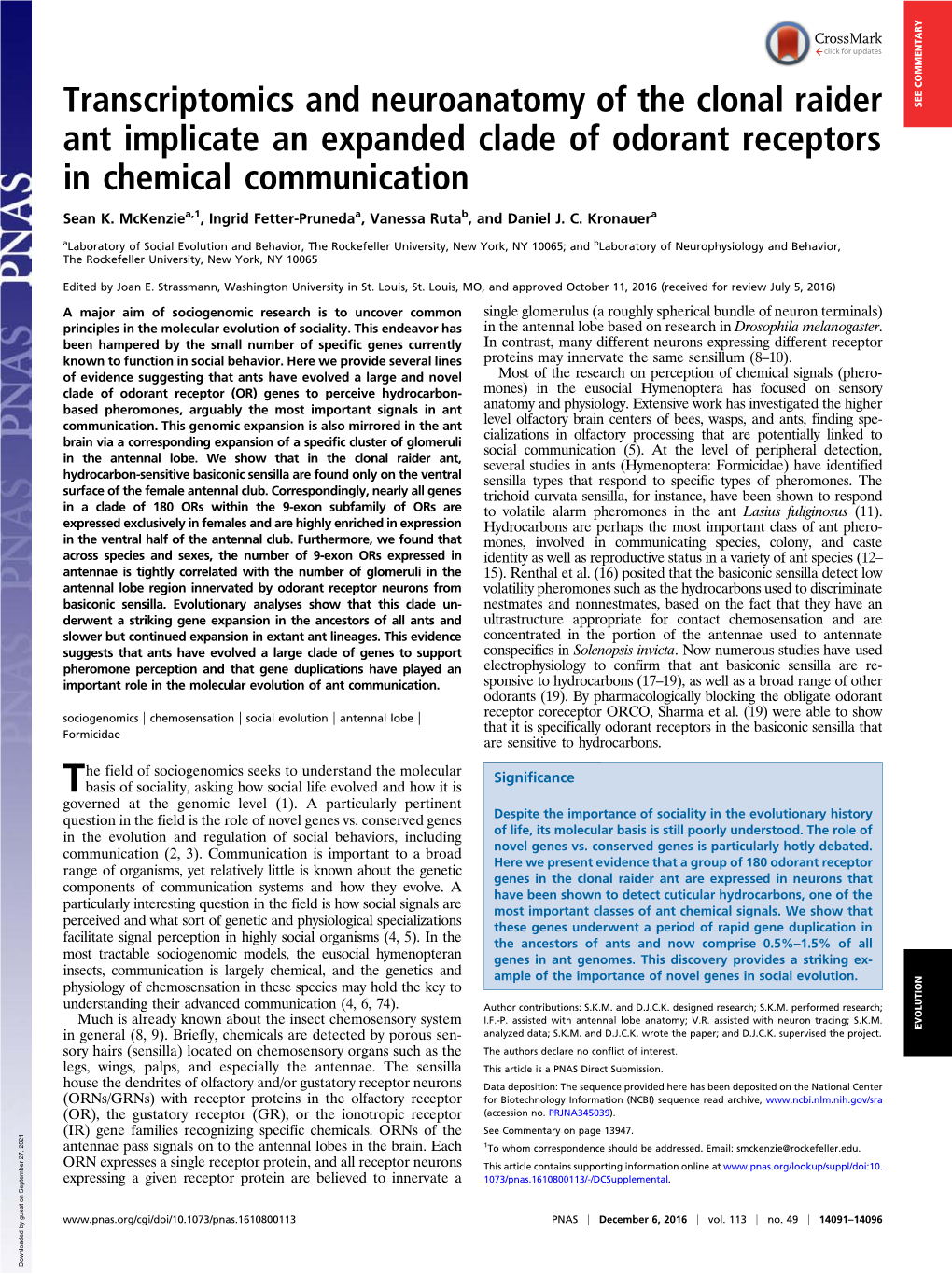 Transcriptomics and Neuroanatomy of the Clonal Raider Ant Implicate An