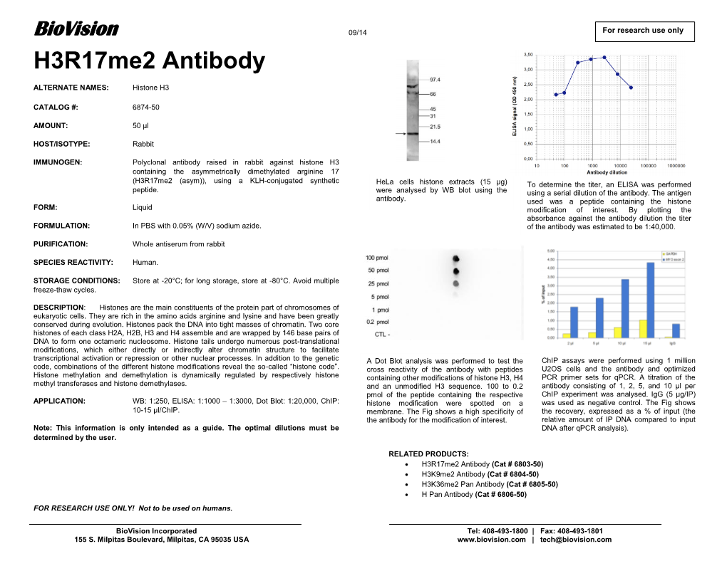 H3r17me2 Antibody
