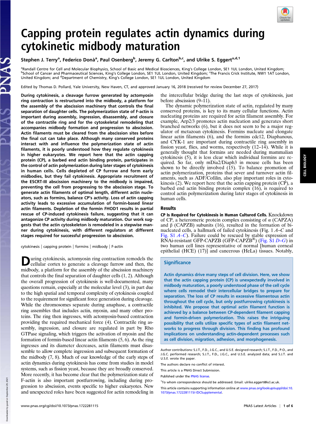 Capping Protein Regulates Actin Dynamics During Cytokinetic Midbody Maturation