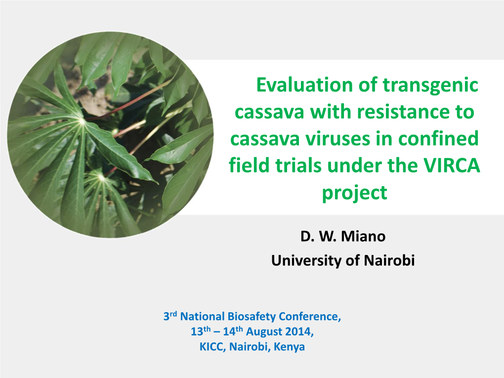 Evaluation of Transgenic Cassava with Resistance to Cassava Viruses in Confined Field Trials Under the VIRCA Project