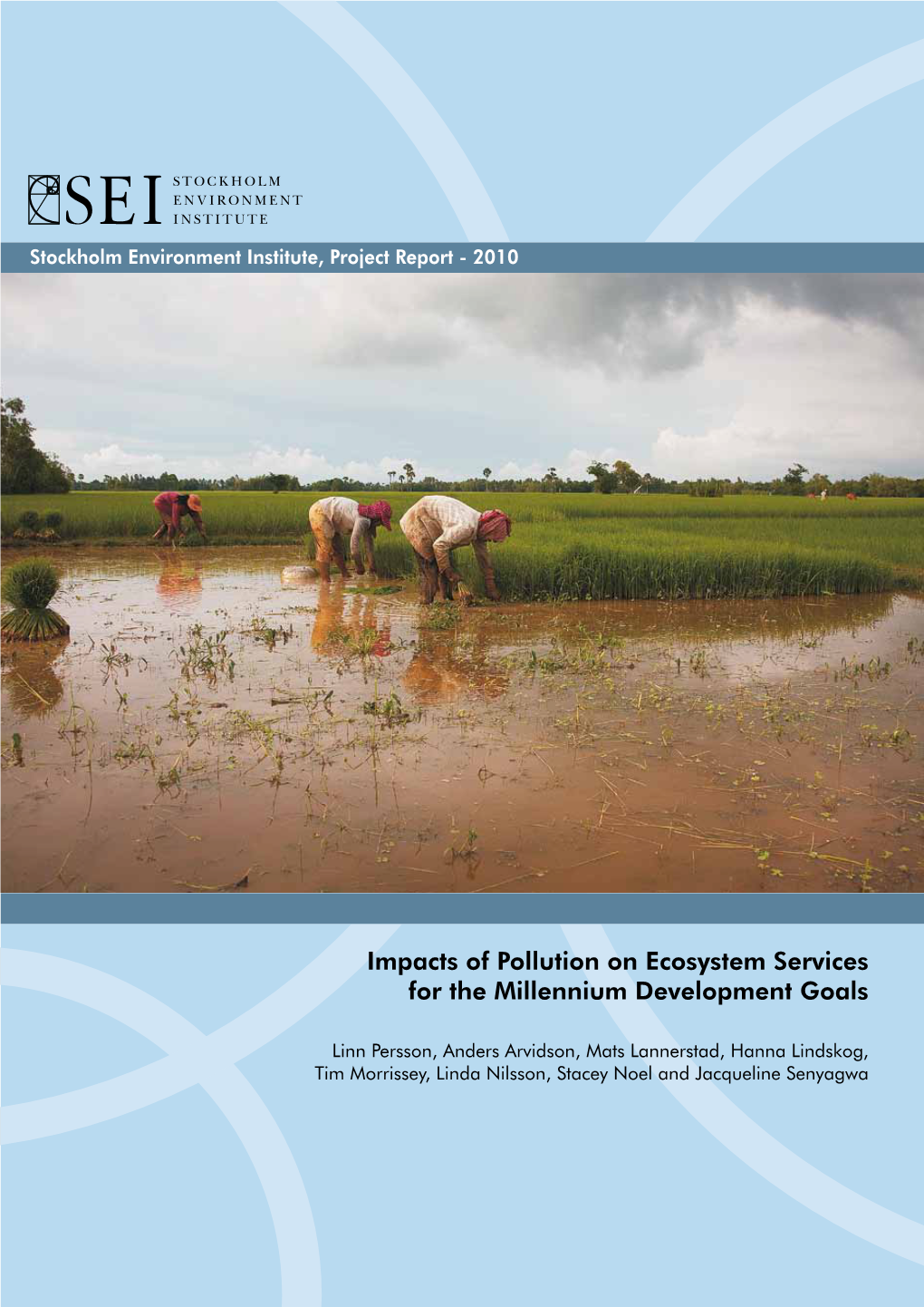 Impacts of Pollution on Ecosystem Services for the Millennium