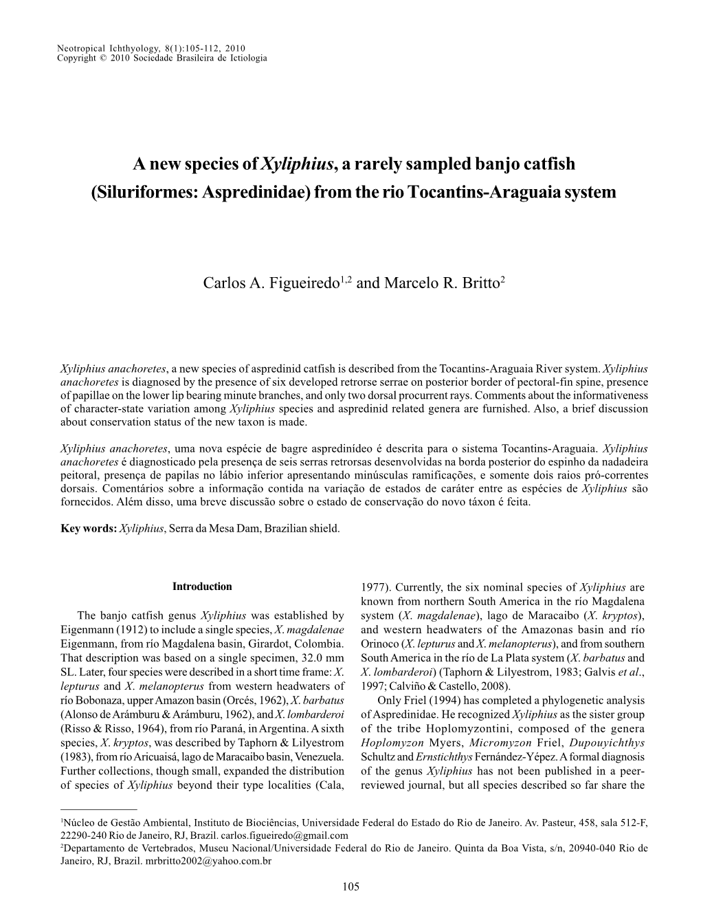 A New Species of Xyliphius, a Rarely Sampled Banjo Catfish (Siluriformes: Aspredinidae) from the Rio Tocantins-Araguaia System